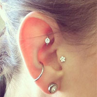 Tragus